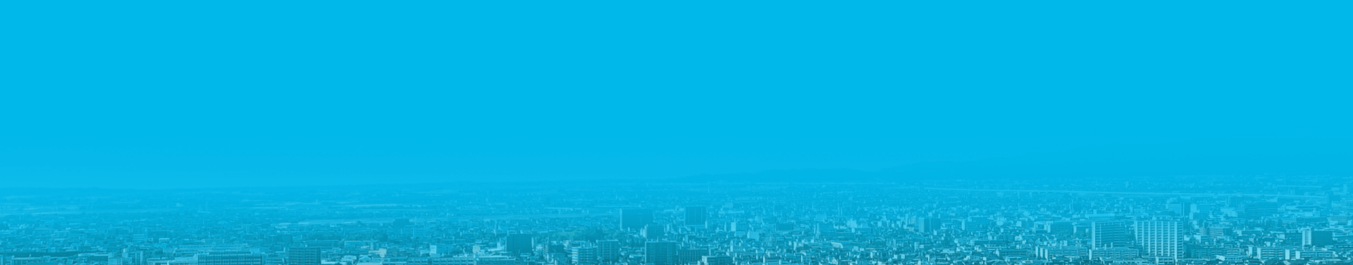 ページタイトル背景