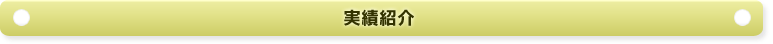 実績紹介