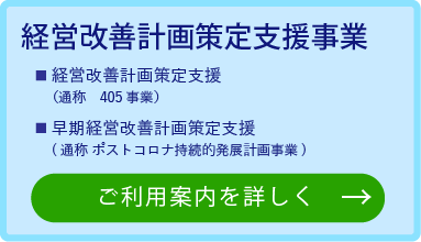 経営改善計画策定支援事業